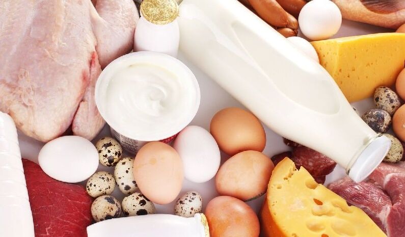 Makanan protein untuk pemakanan